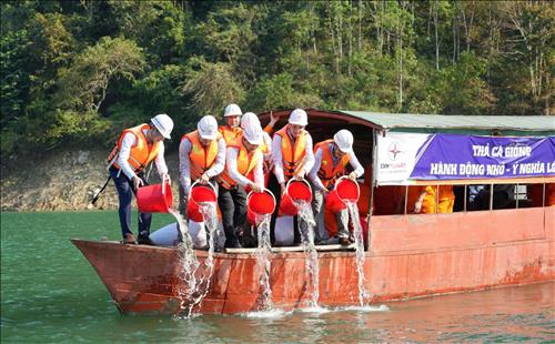 Thả hơn 50 nghìn con cá giống xuống lòng hồ Thủy điện Bản Vẽ