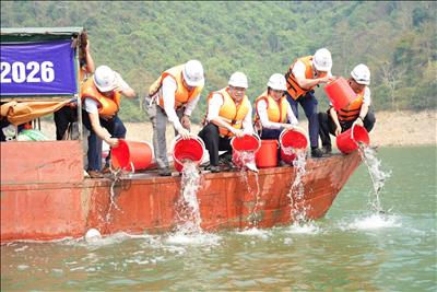 Công ty Thuỷ điện Bản Vẽ tổ chức trồng cây, thả cá giống và tặng quà cho học sinh xã Yên Na